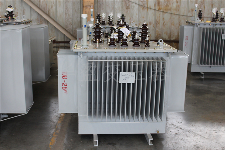 攀枝花S20-800kVA/10kV/0.4kV变压器